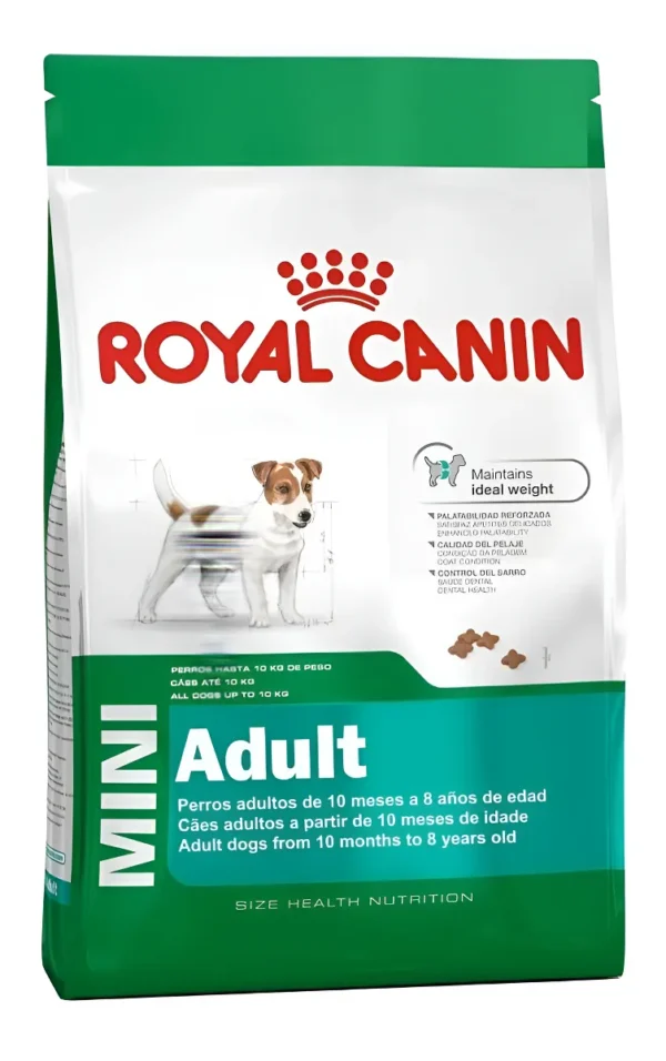 D_NQ_NP_2X_957061-MLA95643543354_102025-F