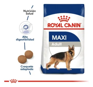 D_NQ_NP_2X_978372-MLA79868766688_102024-F